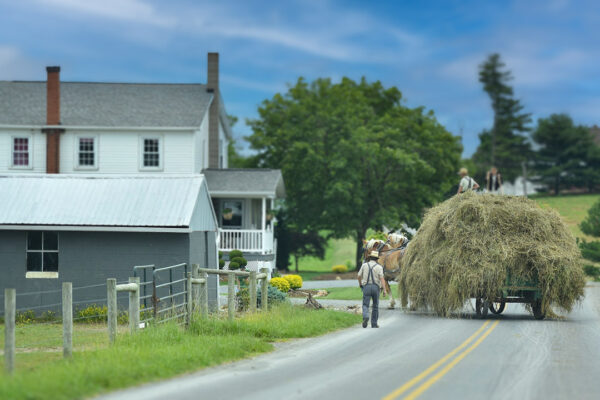 Amish Message Delivery